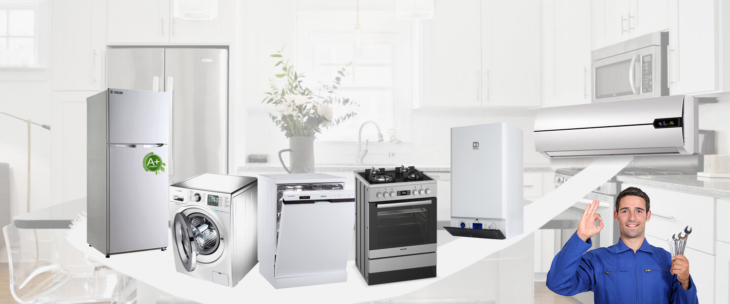 Silifke Electrolux Servisi